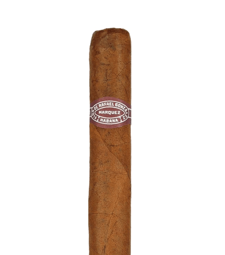 Cigar Rafael Gonzalez Panetelas Extra 5x36