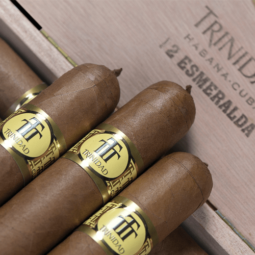 Cigar Trinidad Reyes