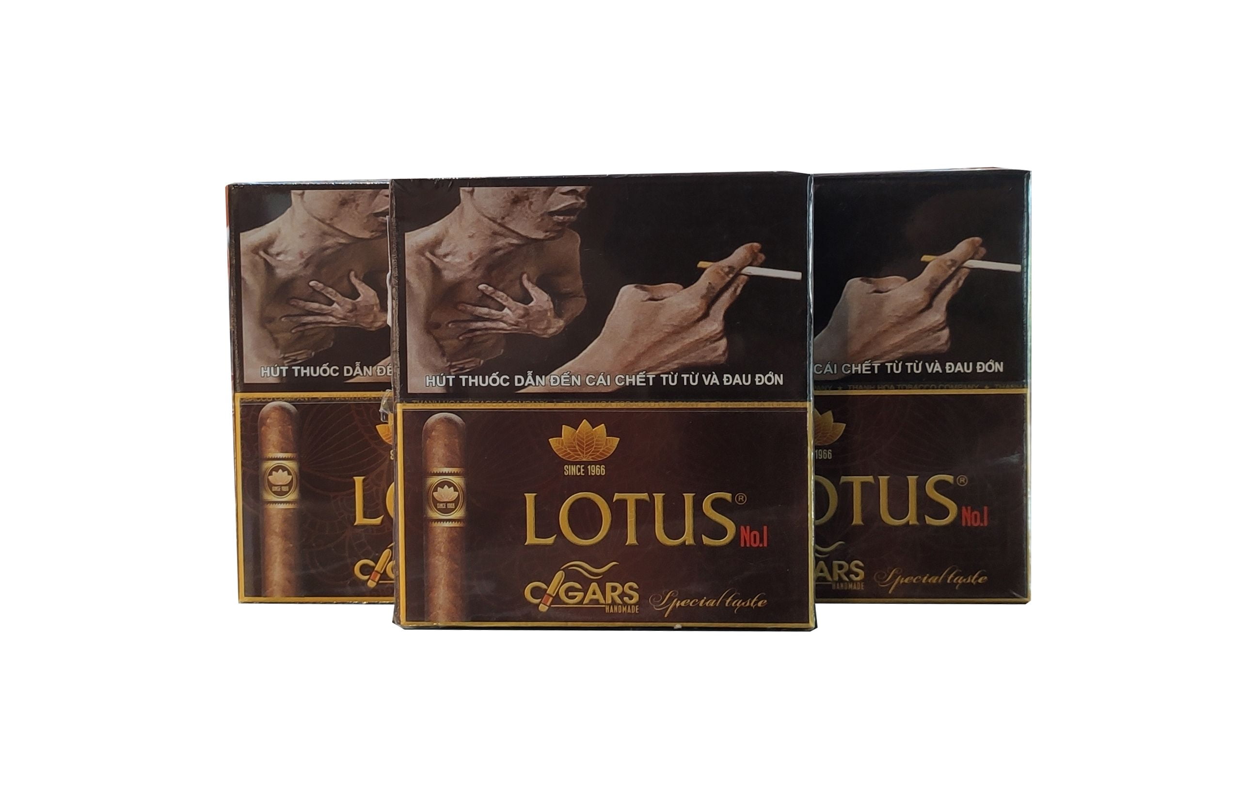 Cigar Lotus No1 (Hộp giấy 5 điếu nâu)