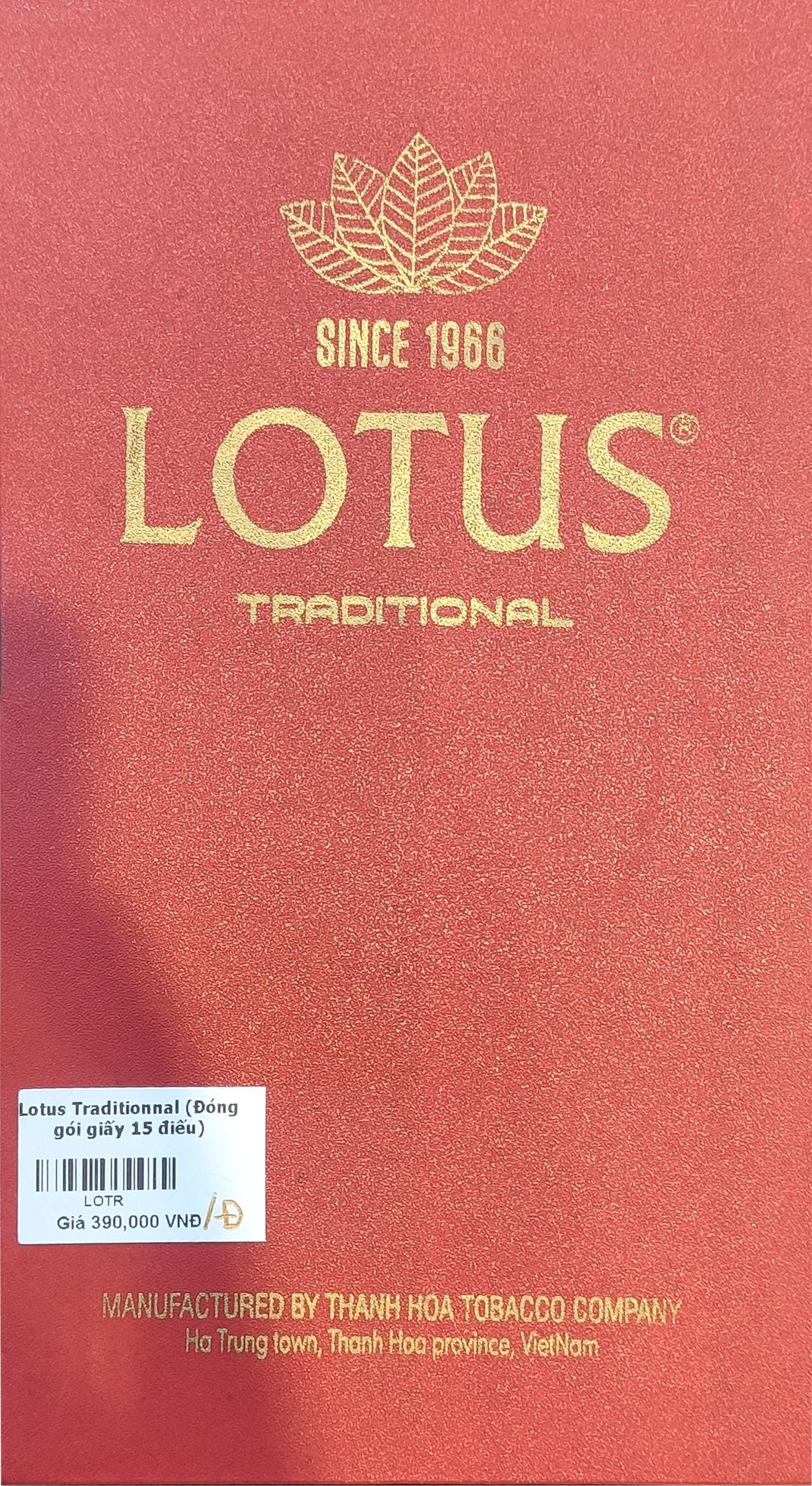 Cigar Lotus Traditionnal
