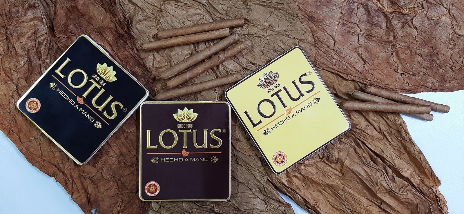 Cigar Lotus Mini No2 (Hộp sắt 10 điếu vàng)